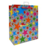 Medium Gift Bags - Stars (21cm x 26cm)