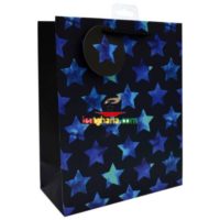 Large Gift Bags - Blue Stars (26cm x 32cm)