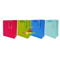 Medium Gift Bags - Assorted Colours (18cm x 23cm)