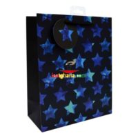 Medium Gift Bags - Blue Stars (21cm x 26cm)