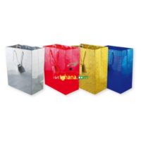 Large Gift Bags - Holographic (26cm x 32cm)