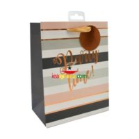 Medium Gift Bags - Party Time! (18cm x 23cm)