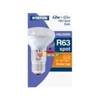 Status Halogen 42w=60w Large Screw Cap R63 Spot Light Bulb