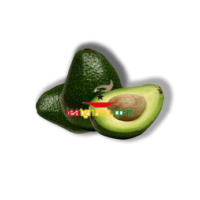 Avocado