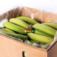 Green Plantain (Box)