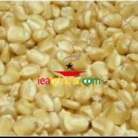 White Maize (Kernels) 500g