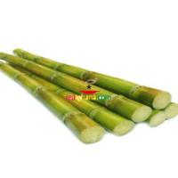 Sugar Cane (1kg)