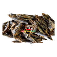 Dry Herrings Amane