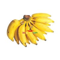 Local Banana