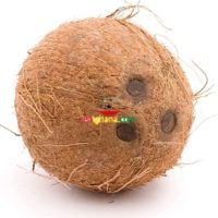 Coconut