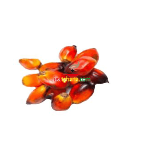 Palm nut (1kg)