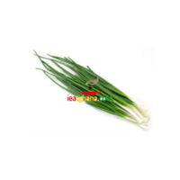 Spring Onion