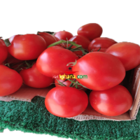 Tomatoes (1kg)