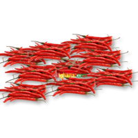 chilli (Ghana) 500g