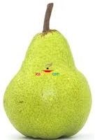 Pear Medium