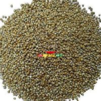 Millet Whole Grain (250g)