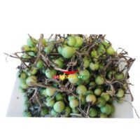 Turkey berry Anona Ntroba , Kwahu Nsusuwa, Yaa Asantewa, Beduru, Kantosey (200g)